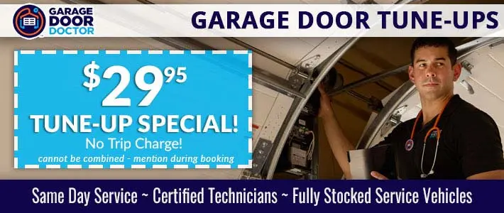 garage door maintenance in dfw